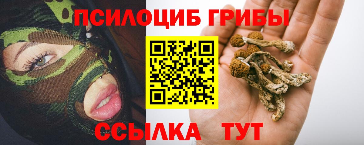 Псилоцибиновые грибы ЛСД Коряжма